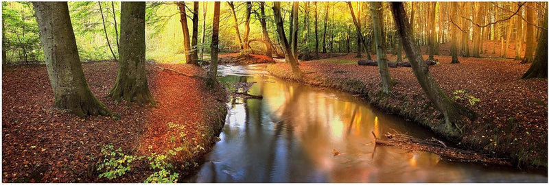 Bilderwelten Leinwandbild Top Wandbild Panorama 50 x 150cm, Autumn Fairytale 50cm x 150cm Autumn Fai