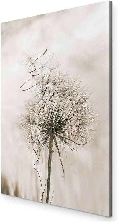 murando Akustikbild Natur 60x90 cm Bilder Akustikschaum Hochleistungsschallabsorber Schallschutz Lei