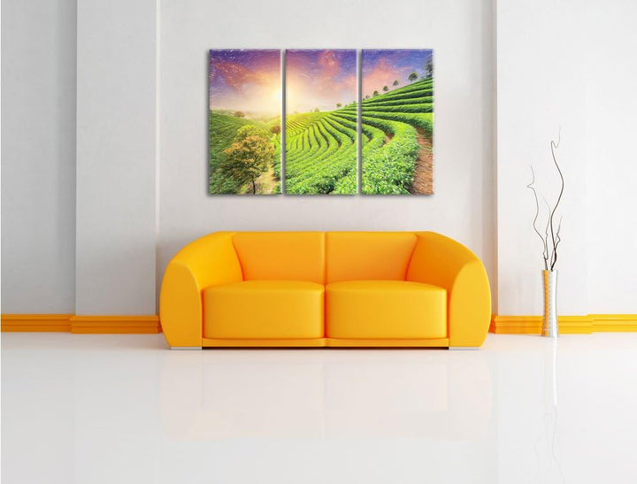 Pixxprint Japanische Treppenfelder / 3-Teilig/Gesamtmass 120cm Leinwandbild bespannt auf Holzrahmen/