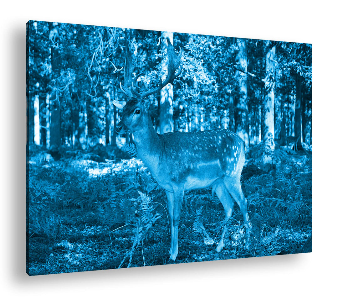 deyoli bezaubernder Hirsch im Wald Format 80x60 Effekt: Monocrome Blau als Leinwandbild, Motiv ferti