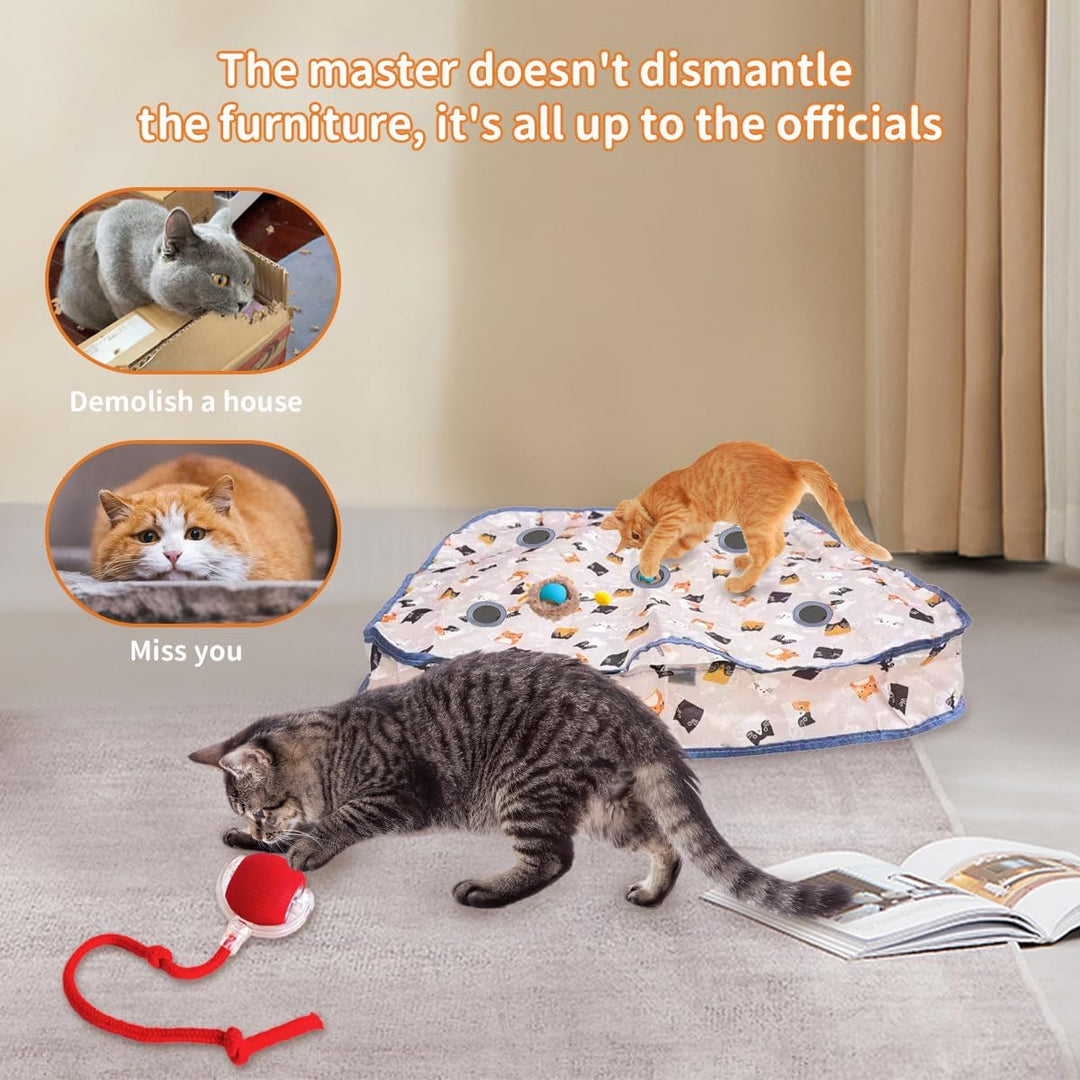 Interaktive Haustierspielkugeln Set mit Matten-Mäusefangspiel für Katzen und Hunde 2 Spielkugeln Hin