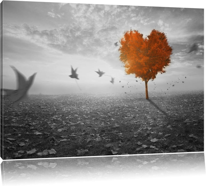 Roter Herzbaum im Herbst schwarz/weiss Format: 100x70 auf Leinwand, XXL riesige Bilder fertig gerahm