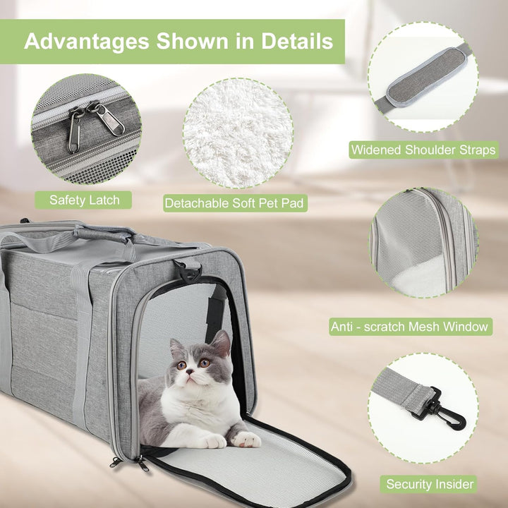 Haustiertragetasche – Faltbare Transportbox Katze & Hund, Leichte Katzentransporttasche mit Schulter