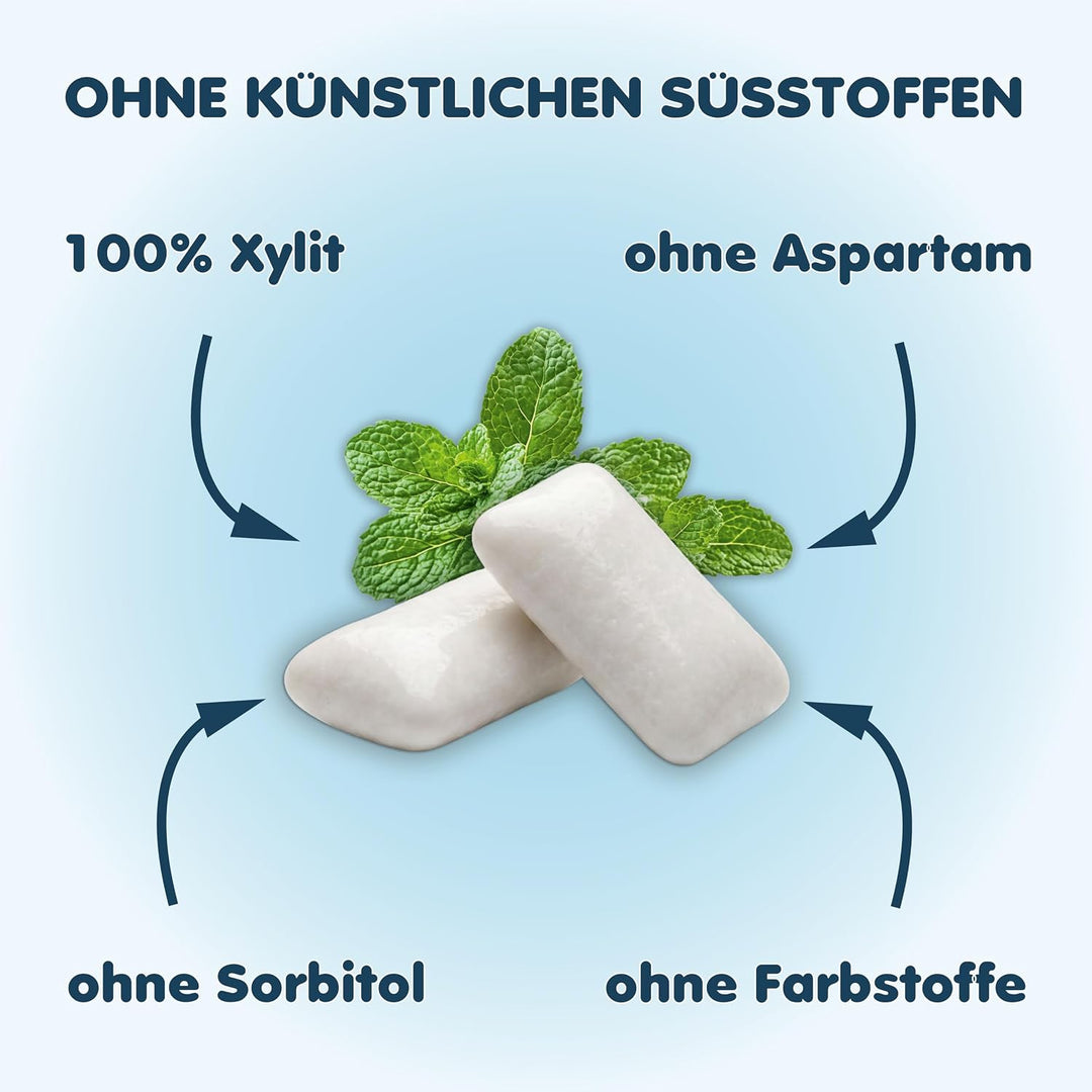 Xylitquelle Zahnpflegekaugummi PFEFFERMINZ | 3 x 80 Stk | 100% Xylit für angenehmen Atem | zuckerfre