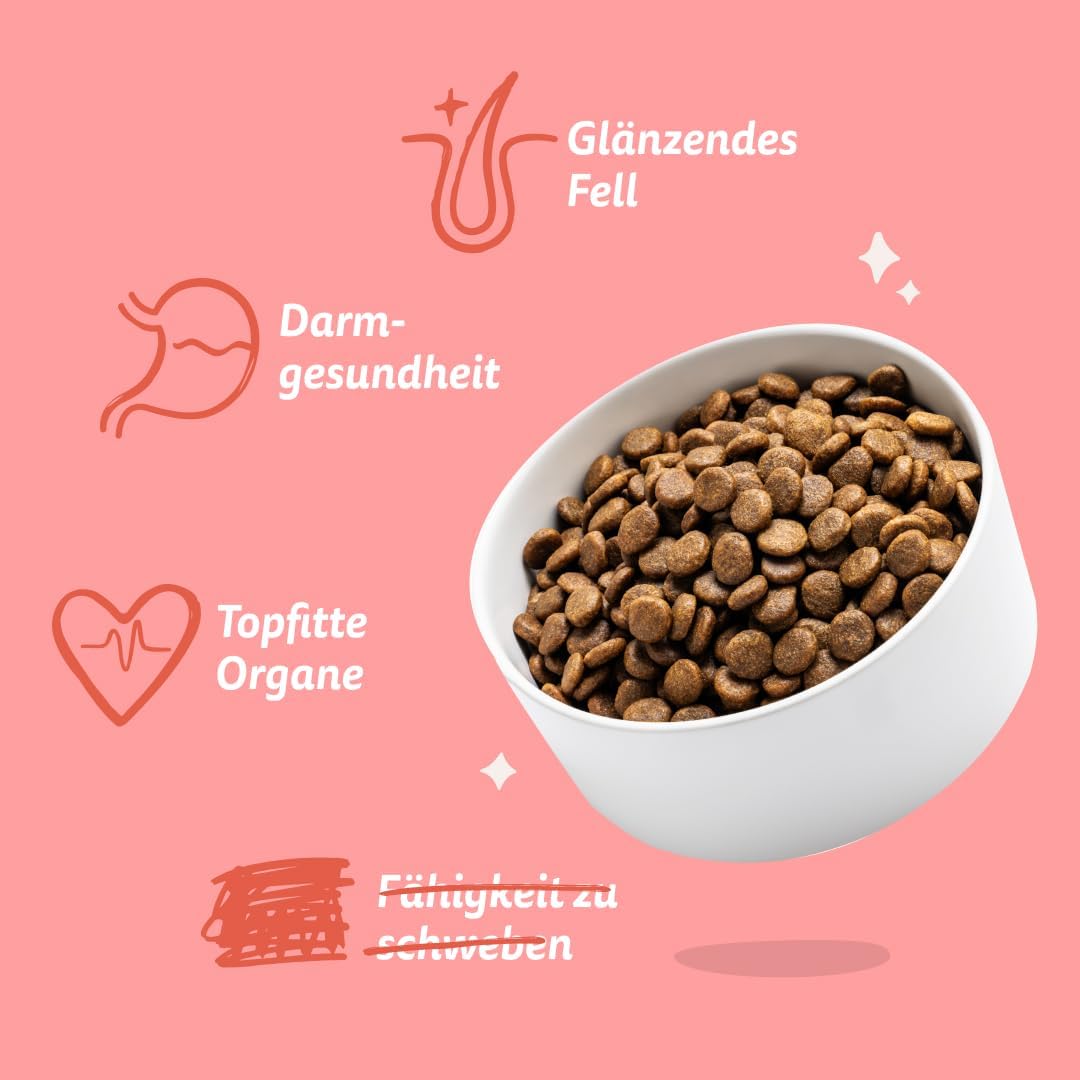 Edgard &amp; Cooper Hundefutter Trocken Getreidefrei Hundefutter Hund Senior Natürliche 12kg Huhn &amp; Lach