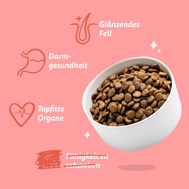 Edgard &amp; Cooper Hundefutter Trocken Getreidefrei Hundefutter Hund Senior Natürliche 12kg Huhn &amp; Lach