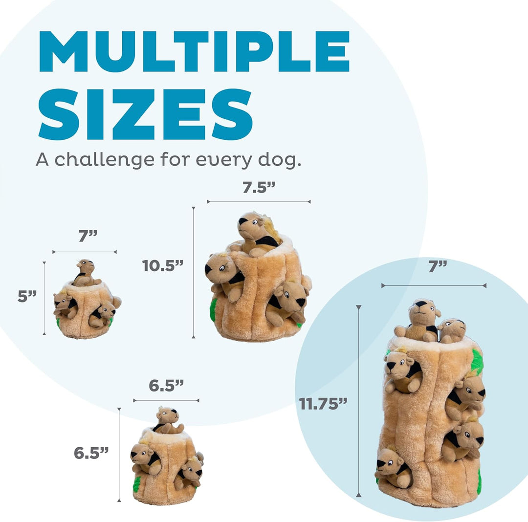 Outward Hound Plüsch-Hundespielzeug Hide A Squirrel, XL XL (1er Pack), XL (1er Pack)
