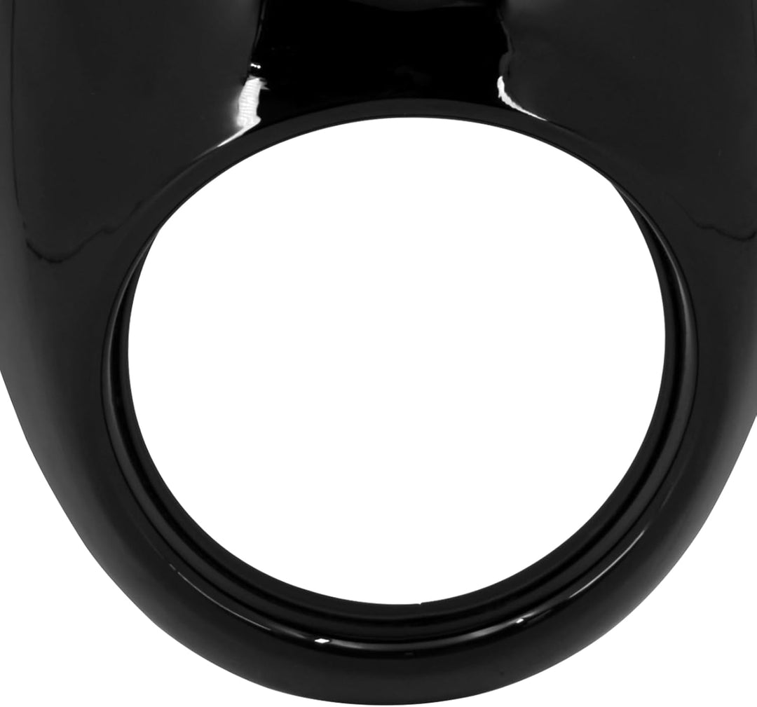 HDBUBALUS Scheinwerfer Verkleidung Maske Visier Abdeckung mit Halterung Fit für Harley Sportster Dyn