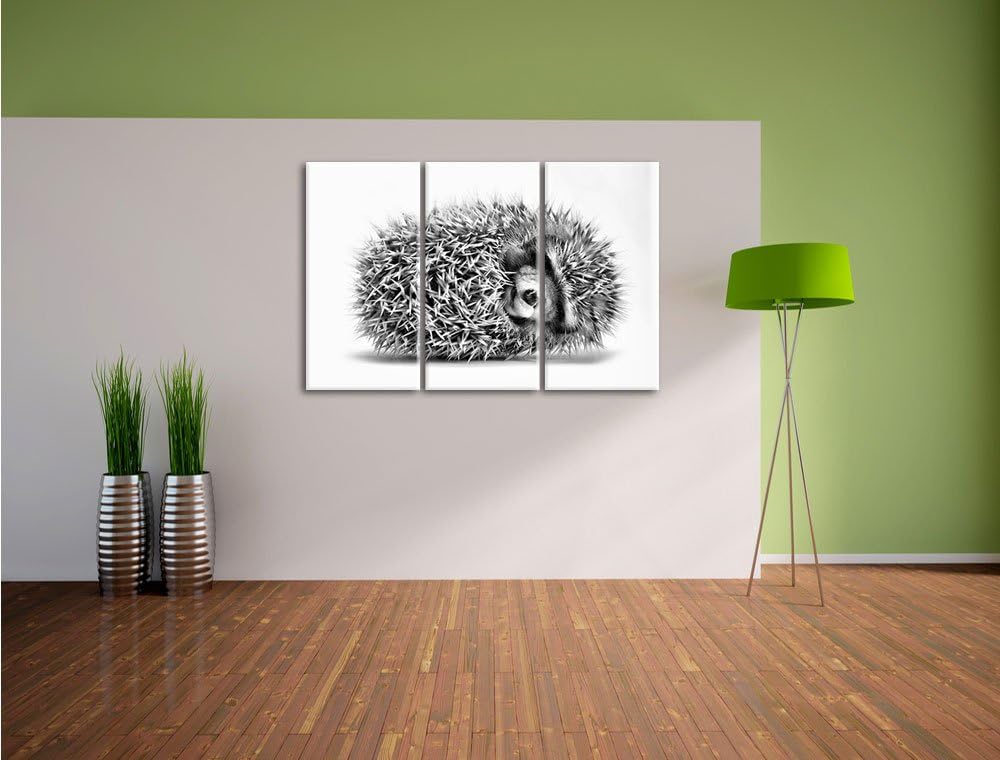 Pixxprint Kleiner niedlicher Baby Igel als Leinwandbild/Grösse: 3 Teilig (120x80) cm/Wandbild/Kunstd