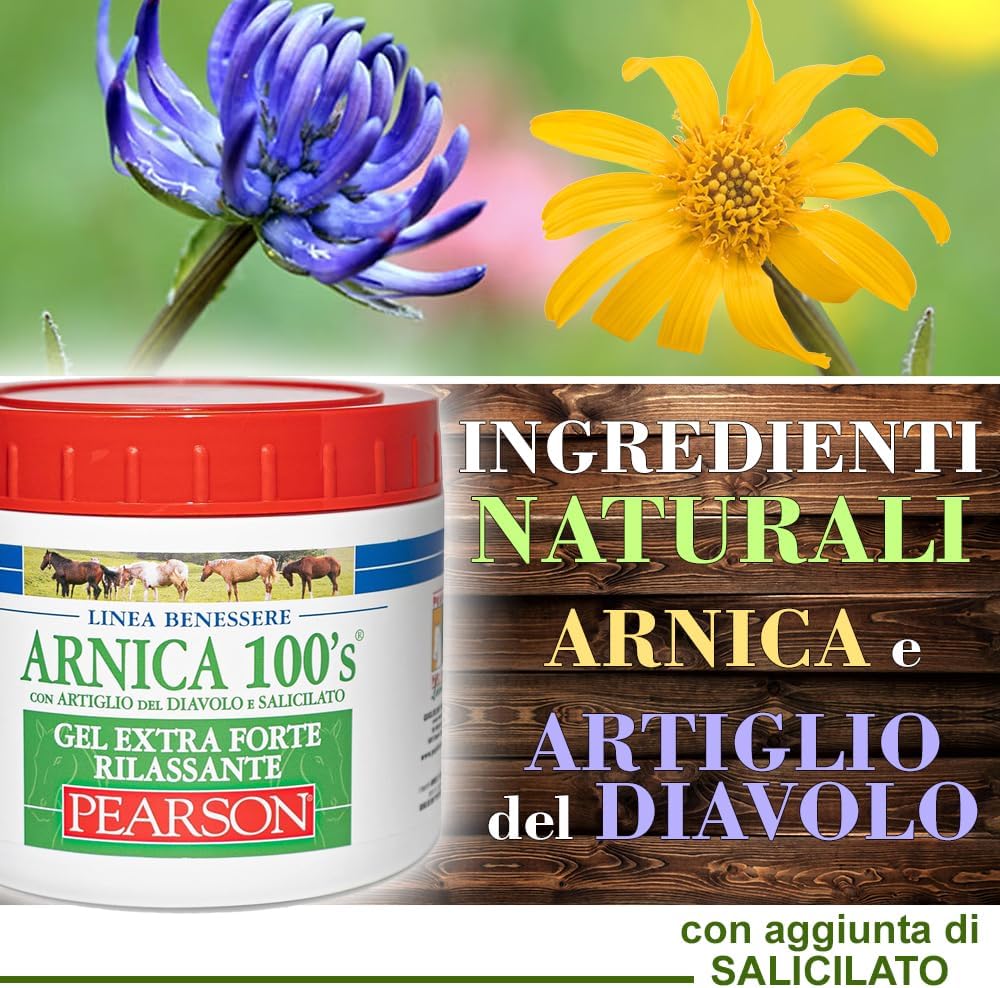 Pearson Arnica 100's Gel extra stark entspannend 500 ml 5504399