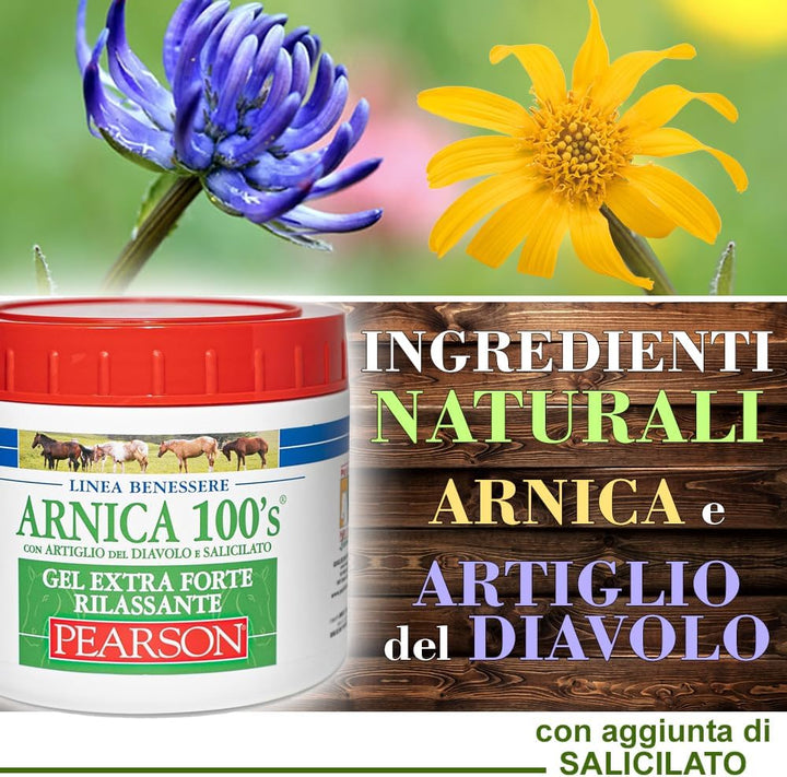 Pearson Arnica 100's Gel extra stark entspannend 500 ml 5504399