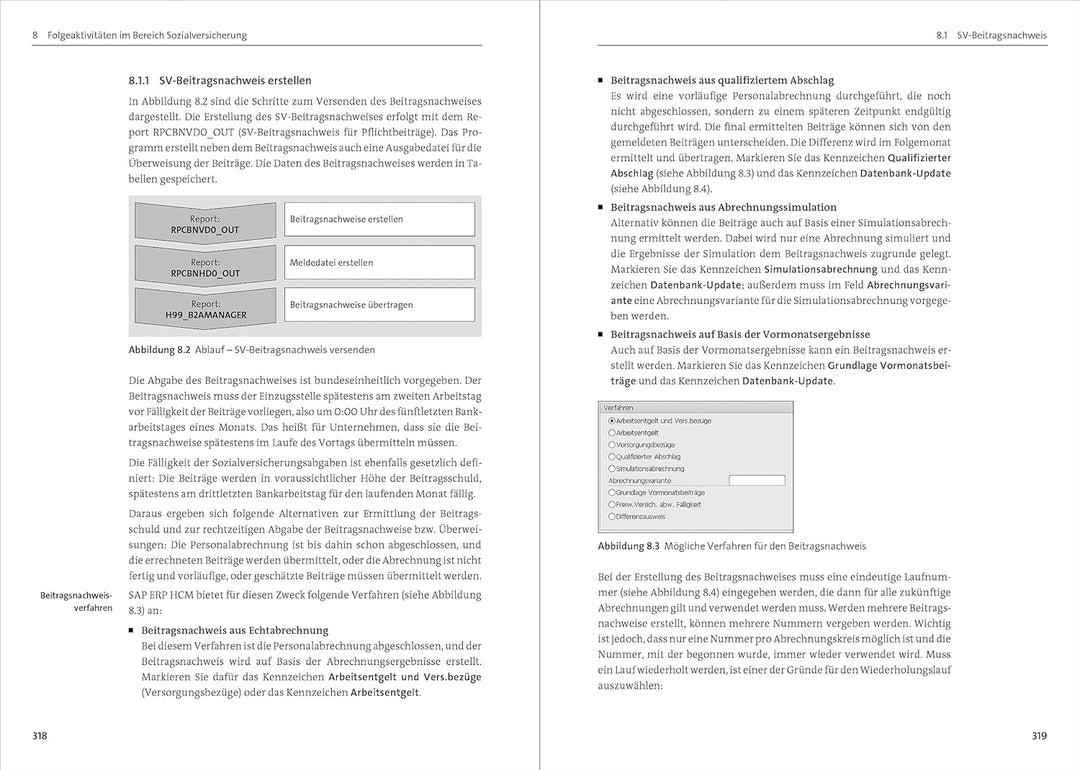 Personalabrechnung mit SAP: Das umfassende Handbuch zu HCM in SAP ERP und S/4HANA (SAP HR) (SAP PRES