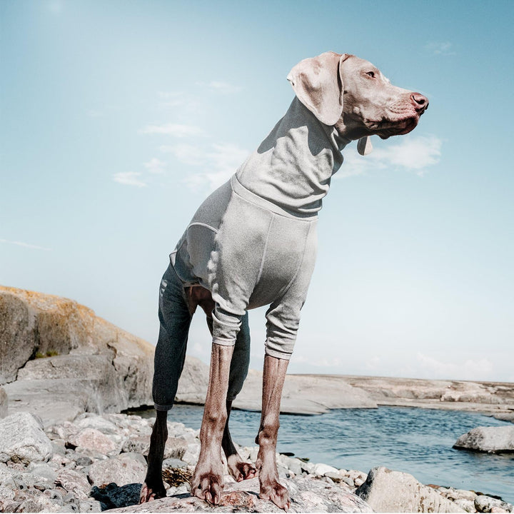 Hurtta Body Warmer Hunde-Body Recovery Suit Carbon Grey 12M grau 12M, grau 12M