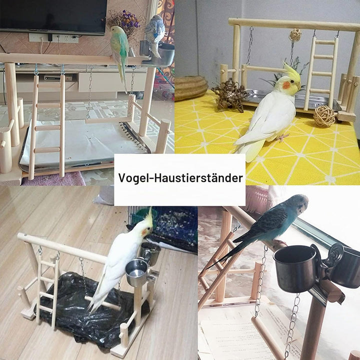 Vogel Spielplatz Papagei Spielplatz Holz Gym Vogelständer Barsch Turnhalle Leiter Laufgitter Spielze