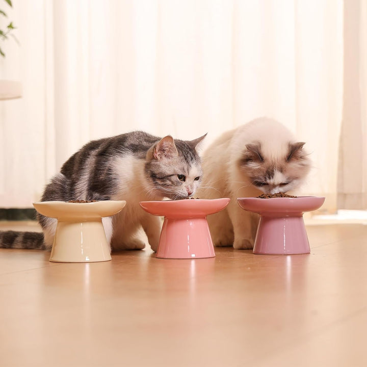 Breite, flache 15,5 cm erhöhte Katzennäpfe, Keramik, erhöhter Futternapf für flache Katzen und klein