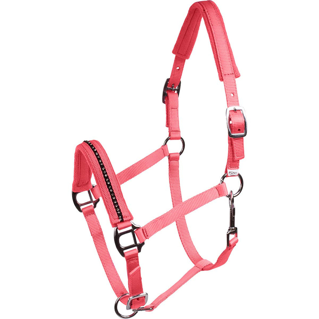 horze Pony Head Collar korallenrot Pony, korallenrot Pony