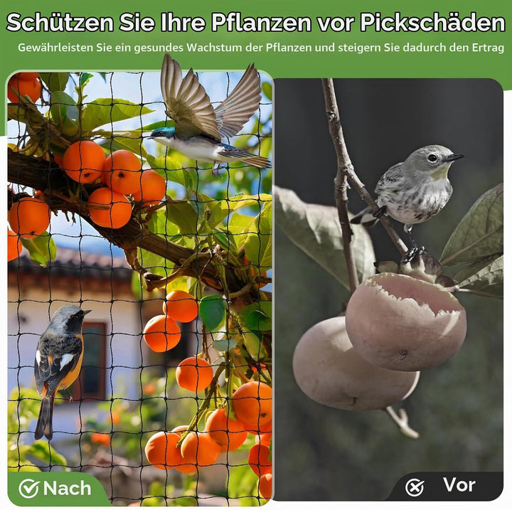 Vogelschutznetz 10 m x 10 m, Vogelnetz Schwarz, Reissfestes Pflanzennetz für Hühnergehege, Volierenn