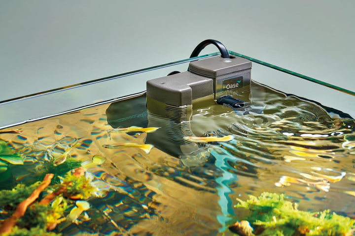 Oase BioCompact 50