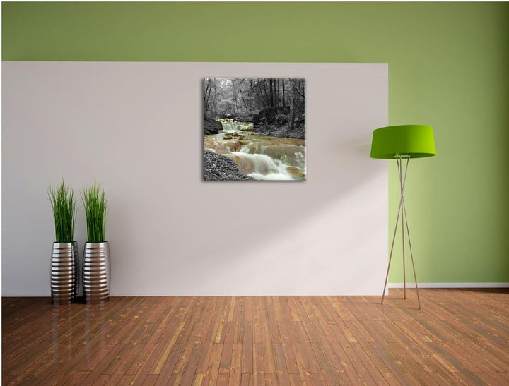 Pixxprint Waldbach im Herbst Schwarz/Weiss, Format: 70x70 auf Leinwand, 70x70