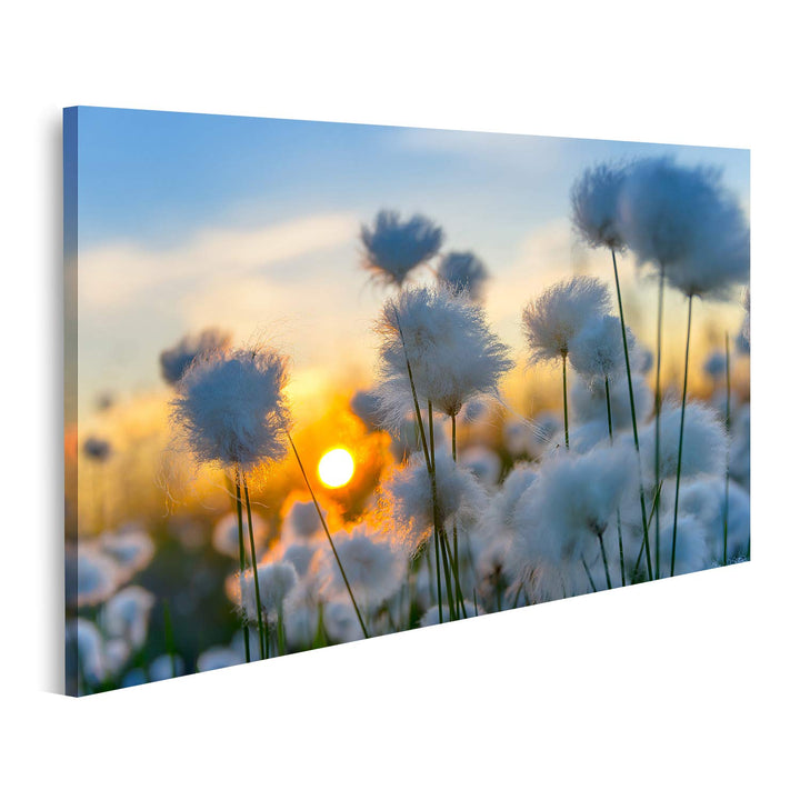 islandburner Bild auf Leinwand Baumwolle Gras Sonnenuntergang Bilder Wandbilder Poster Leinwand 100x