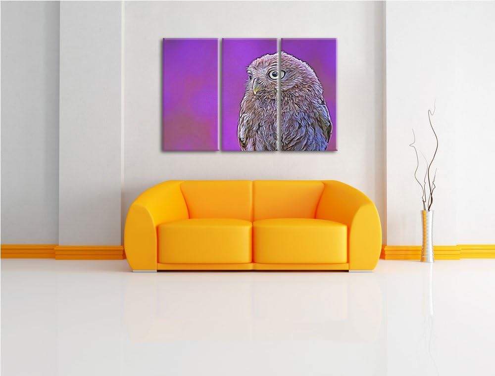 schöne junge Eule NewArt 3-Teiler Leinwandbild 120x80 Bild auf Leinwand, XXL riesige Bilder fertig g