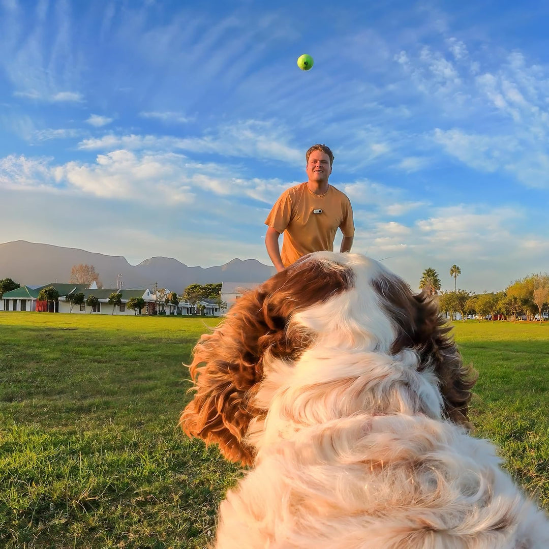 Insta360 Haustiergeschirr-Halterung Grösse S