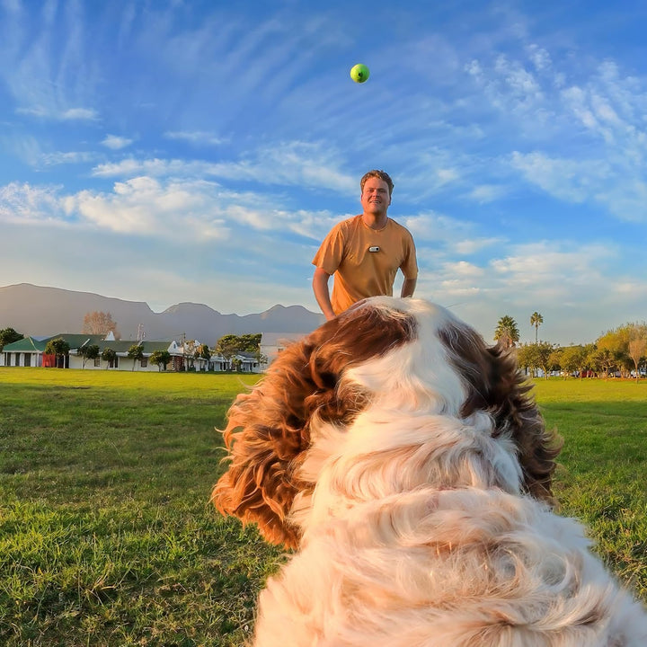 Insta360 Haustiergeschirr-Halterung Grösse S