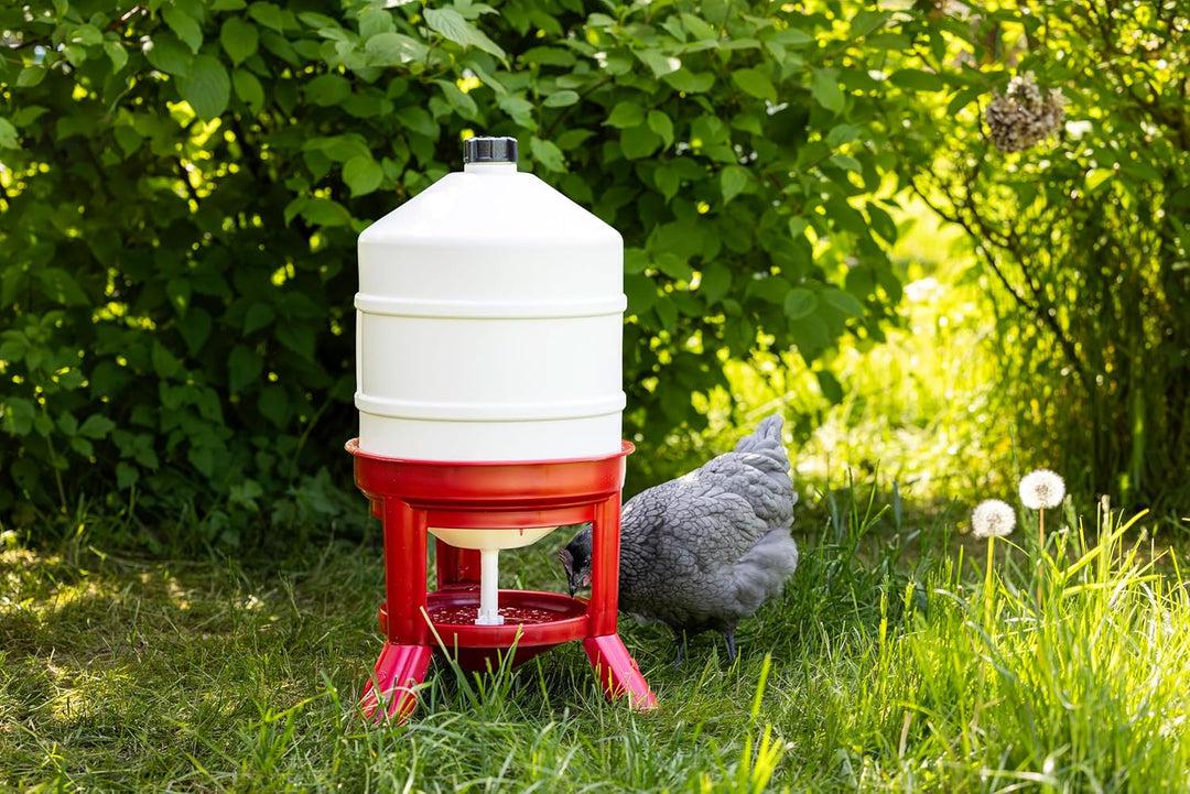 Kerbl Hühnertränke 30L, Automatische Wasserversorgung für Geflügel, Bruchfester langlebiger Kunststo