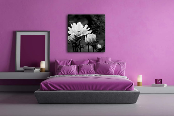deyoli Anemonen Format: 70x70 Effekt: Schwarz&Weiss als Leinwandbild, Motiv fertig gerahmt auf Echth