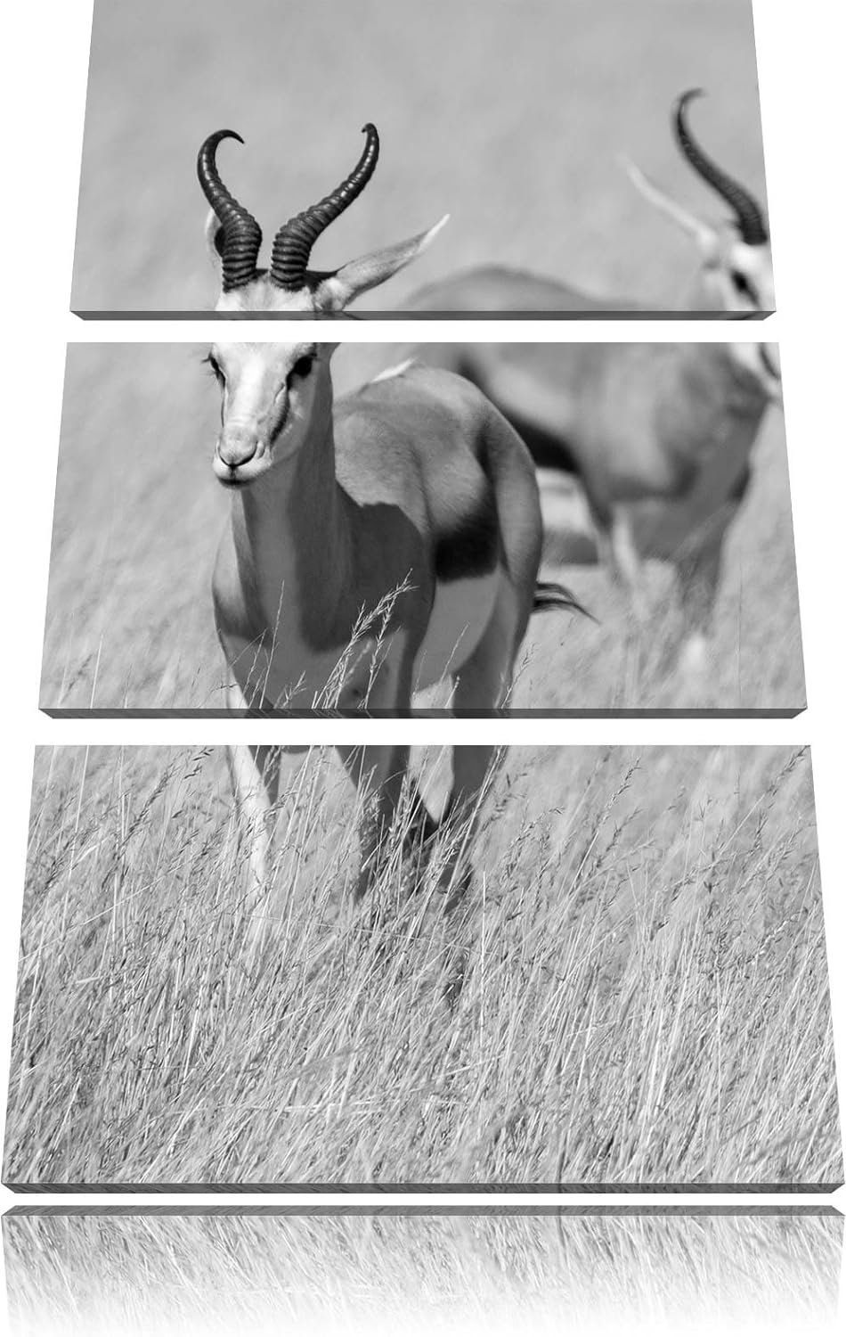 Pixxprint Tiere in Savanne, Rehe, Afrika als Leinwandbild/Grösse: 3 Teilig (120x80) cm/Wandbild/Kuns