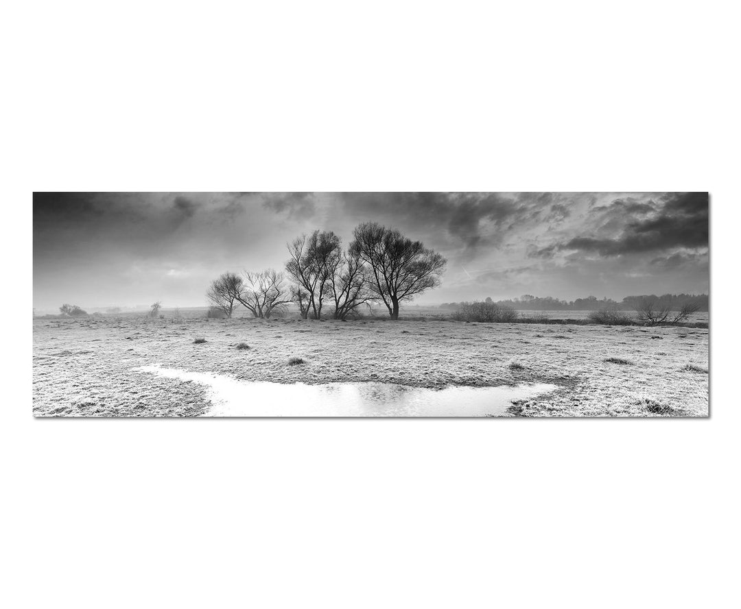 Paul Sinus Art Leinwandfoto als Panorama SCHWARZ/Weiss 150x50cm Herbst Landschaft Frost Wolkenhimmel