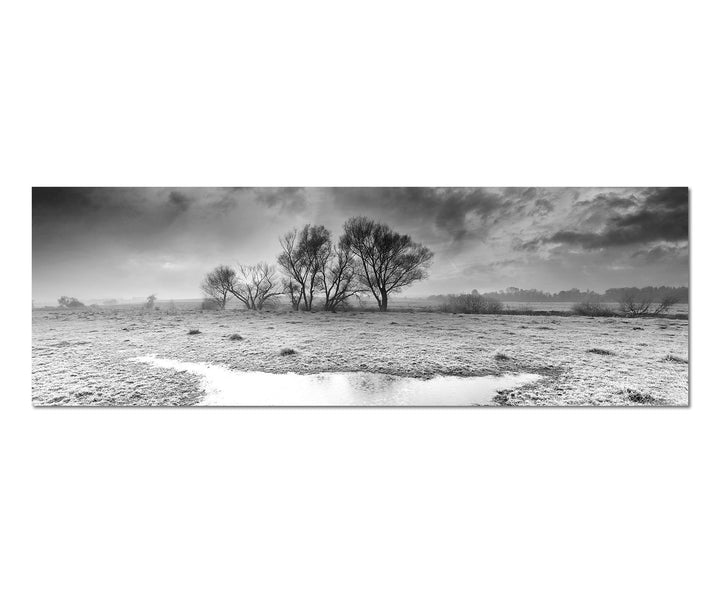 Paul Sinus Art Leinwandfoto als Panorama SCHWARZ/Weiss 150x50cm Herbst Landschaft Frost Wolkenhimmel
