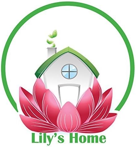 Lily's Home Antike inspirierte dekorative Kaminuhr mit grossen römischen Ziffern, geräuschlos und ti