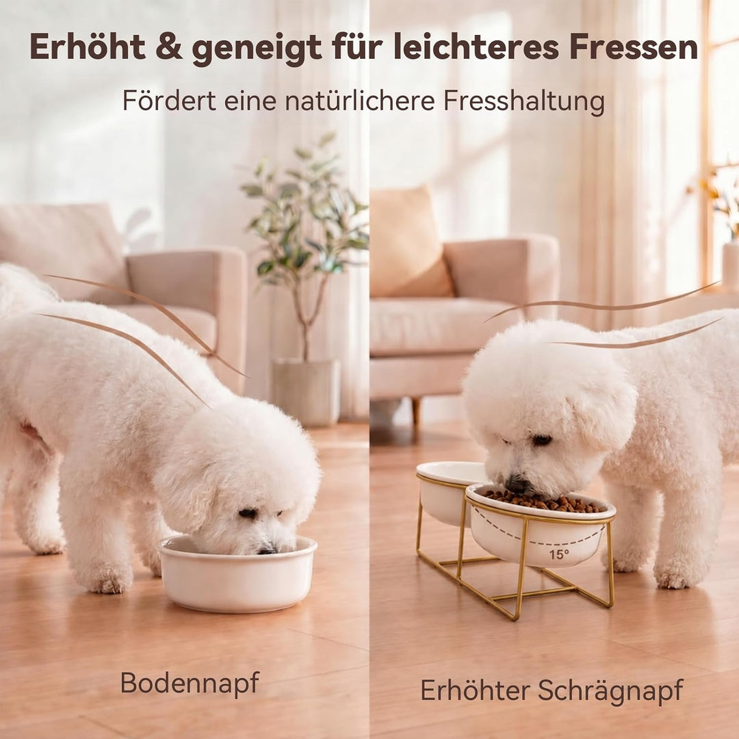 Hundenapf Keramik Futternapf Hund Erhöht - Doppel Napf Katze Fressnapf Hund - Hundenäpfe mit Goldene