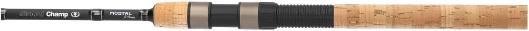 Allround Champ Allroundrute Grundrute Posenrute 3,00m / 20-95g, 3,00m / 20-95g