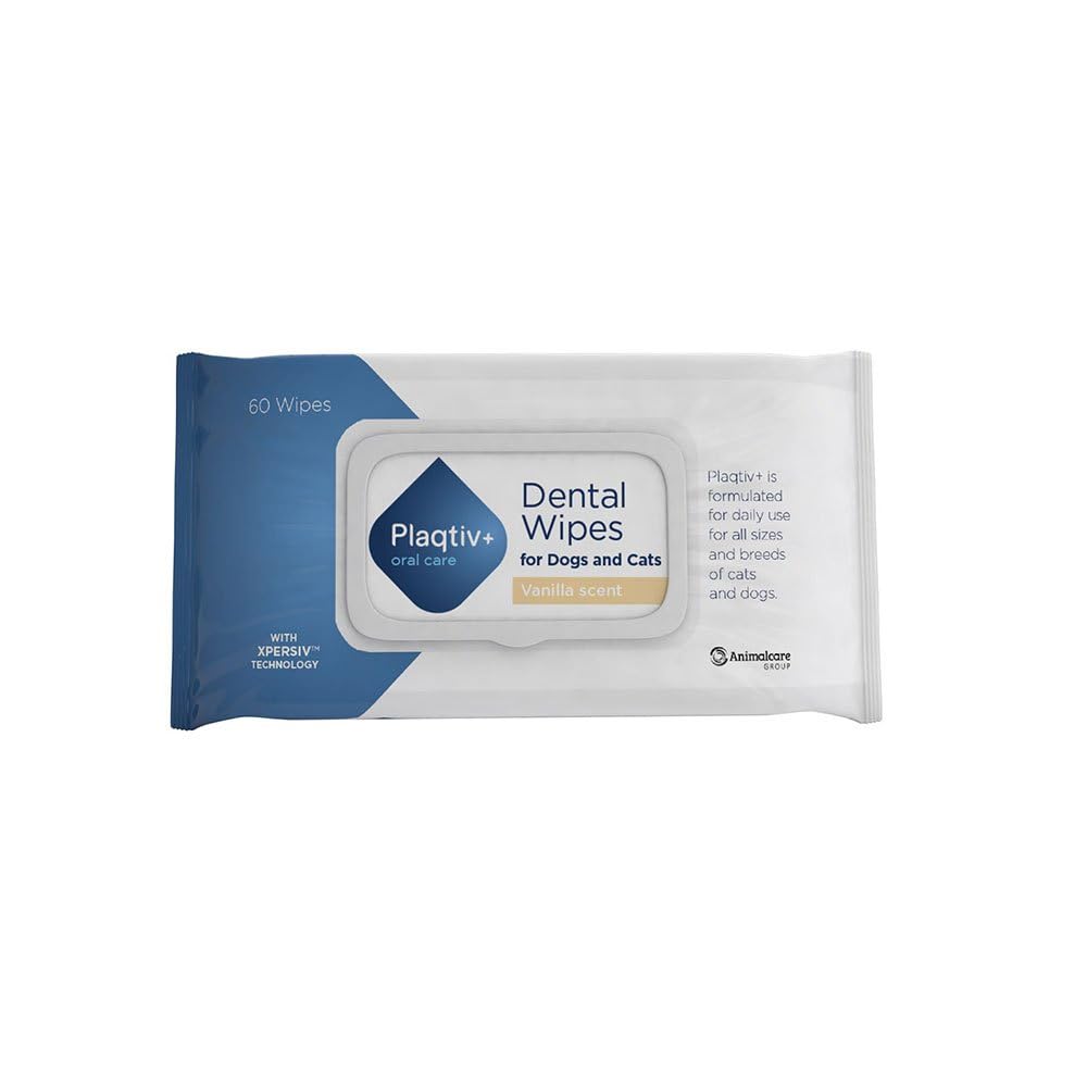 PLAQTIV + TOALLITAS 60UDS