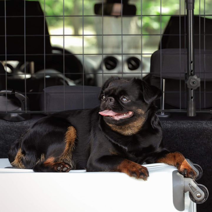 Relaxdays Hundegitter Auto, Trenngitter Universal, verstellbare Breite, Autogitter Masse H x B: 32 x