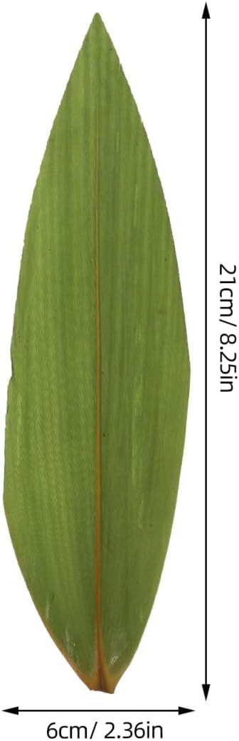 100 Stück Sushi-Bambusblätter, frische Bananenblätter zum Kochen, Zong Zi, Bananenblätter, Ersatz fü