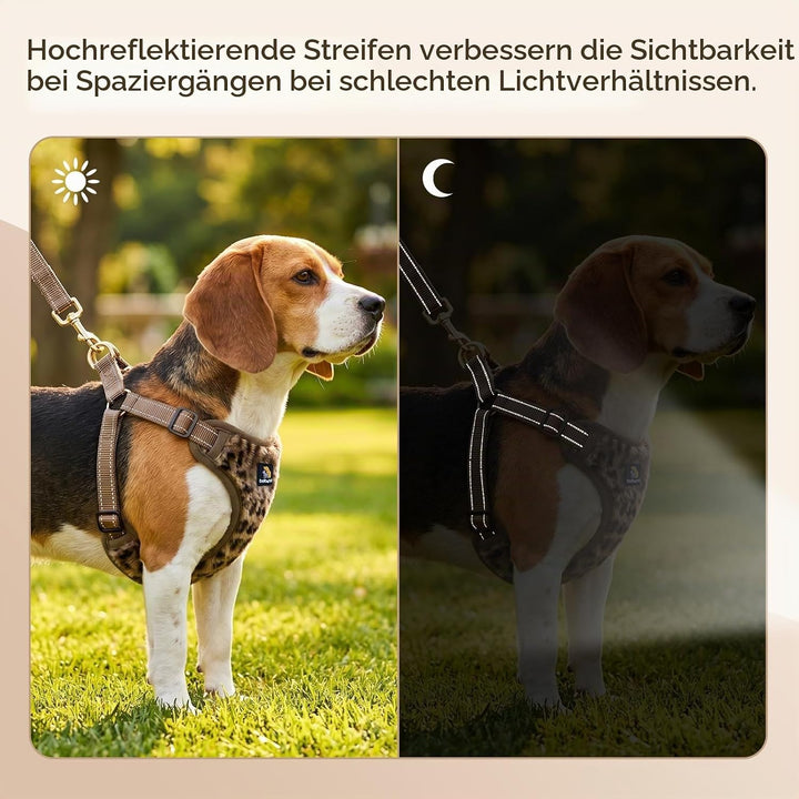 BELLA &amp; PAL Hundegeschirr mit Leine Set, Step-in Geschirr für Welpen/kleine/mittelgrosse Hunde, weic