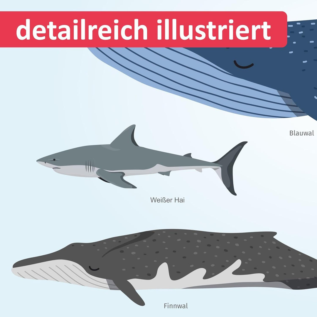 Kinder Lernposter - Tiere der Meere - Wal Delfin Orca Hai - in 3 Grössen - Wanddeko Kinderzimmer Pos