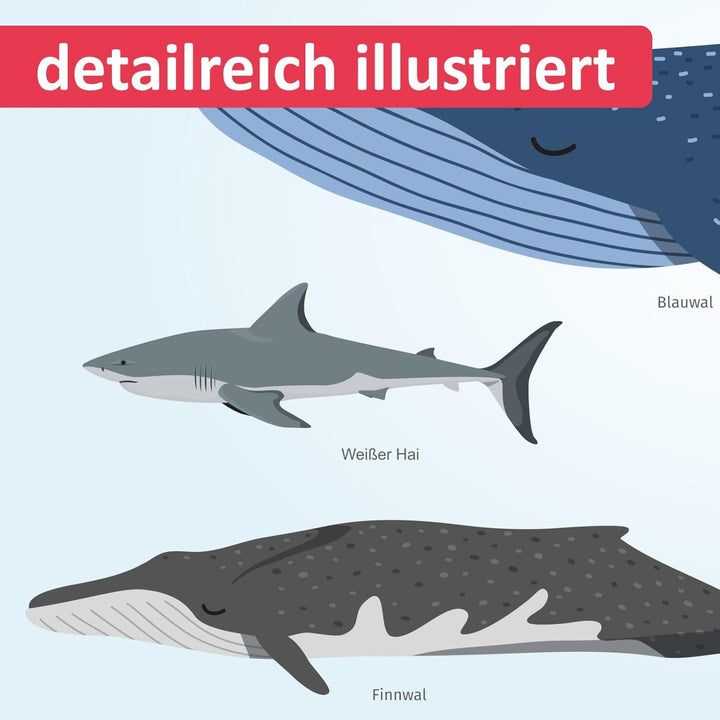 Kinder Lernposter - Tiere der Meere - Wal Delfin Orca Hai - in 3 Grössen - Wanddeko Kinderzimmer Pos