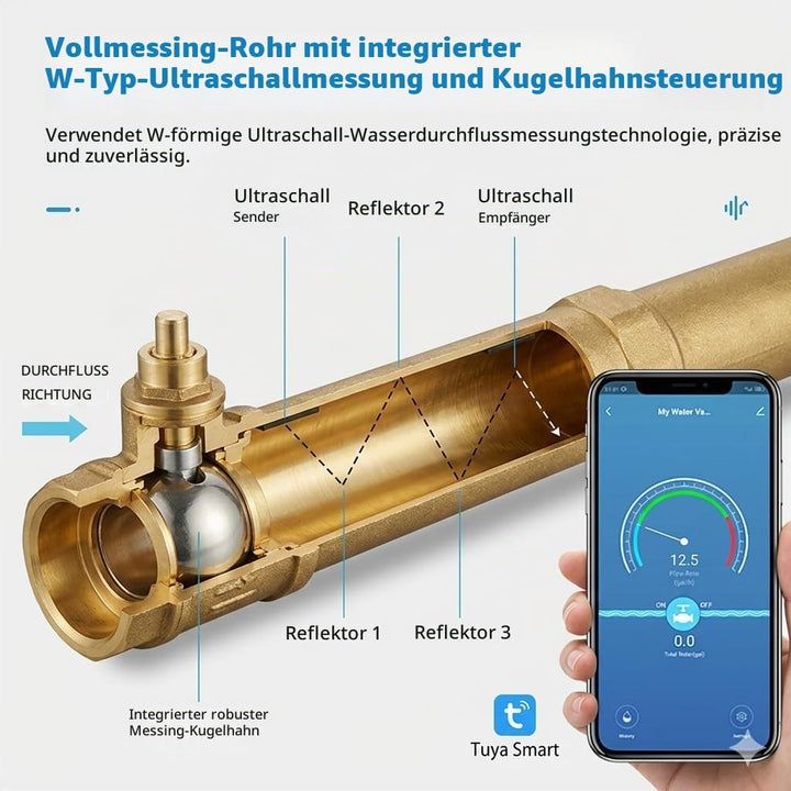 Haozee WiFi Smart-Wasserventil und automatische Abschaltung, Automatisierungsszene funktioniert mit