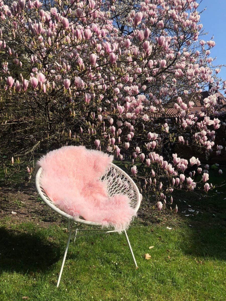 Hollert Lammfell Tibet Sheepskin Monglolisches Schaffell gelockt sehr weich Echtfell Dekoration Läuf