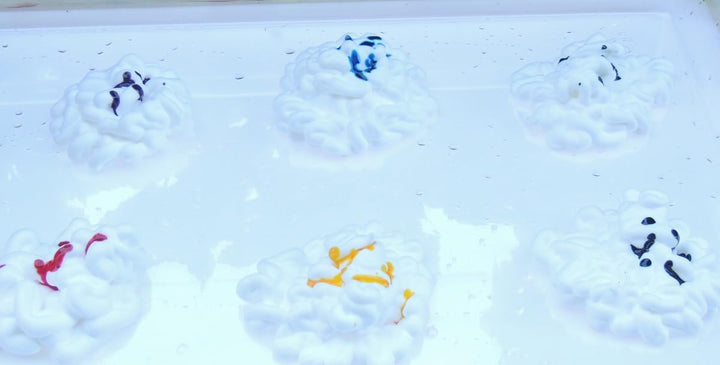 Montessori-Entdeckungswanne Transparent A2 | Aus PET-Kristall, Sicher &amp; Stabil | Für Wasser, Sand, F
