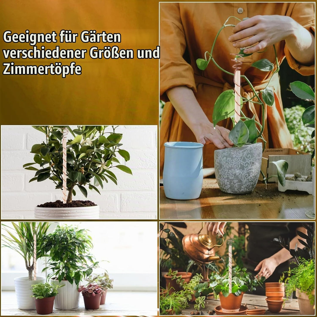Elektrokultur Kupfer Gartenantenne, 6er-Pack Elektroponische Pflanzenstäbe Kupferdrahtantenne Garten