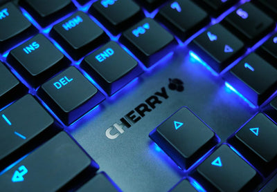 CHERRY MX 10.0N RGB, Deutsches Layout, QWERTZ, kabelgebundene Tastatur, mechanische Gamingtastatur,