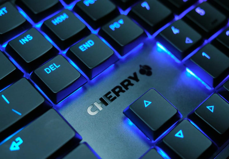 CHERRY MX 10.0N RGB, Internationales Layout, QWERTY Tastatur, kabelgebundene Tastatur, mechanische G