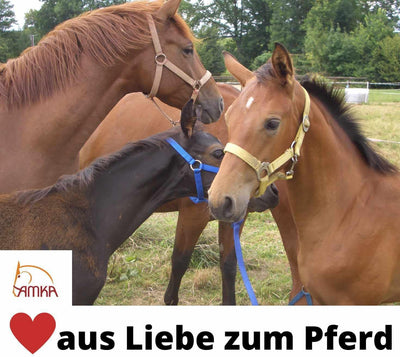 AMKA Sattel für Pony aus Leder schwarz Weite Kammer 12, 12