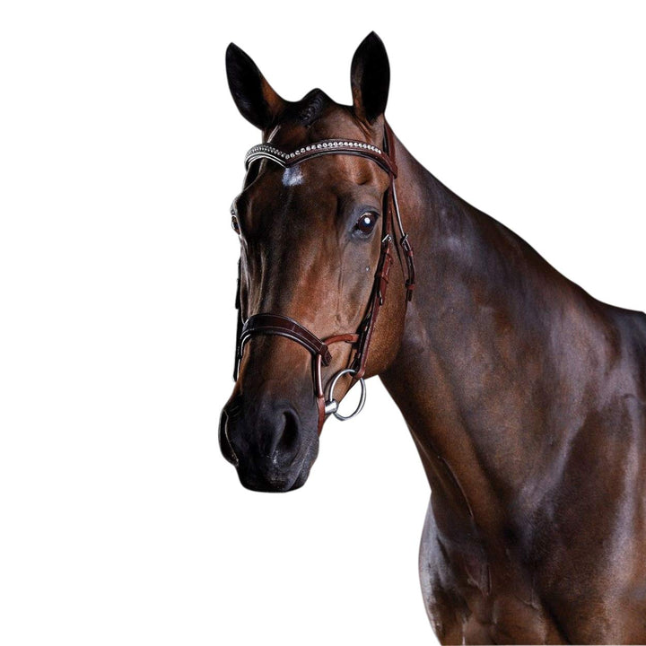 Collegiate ComFiTec Patent Snaffle Bridle Black Cob, Black Cob