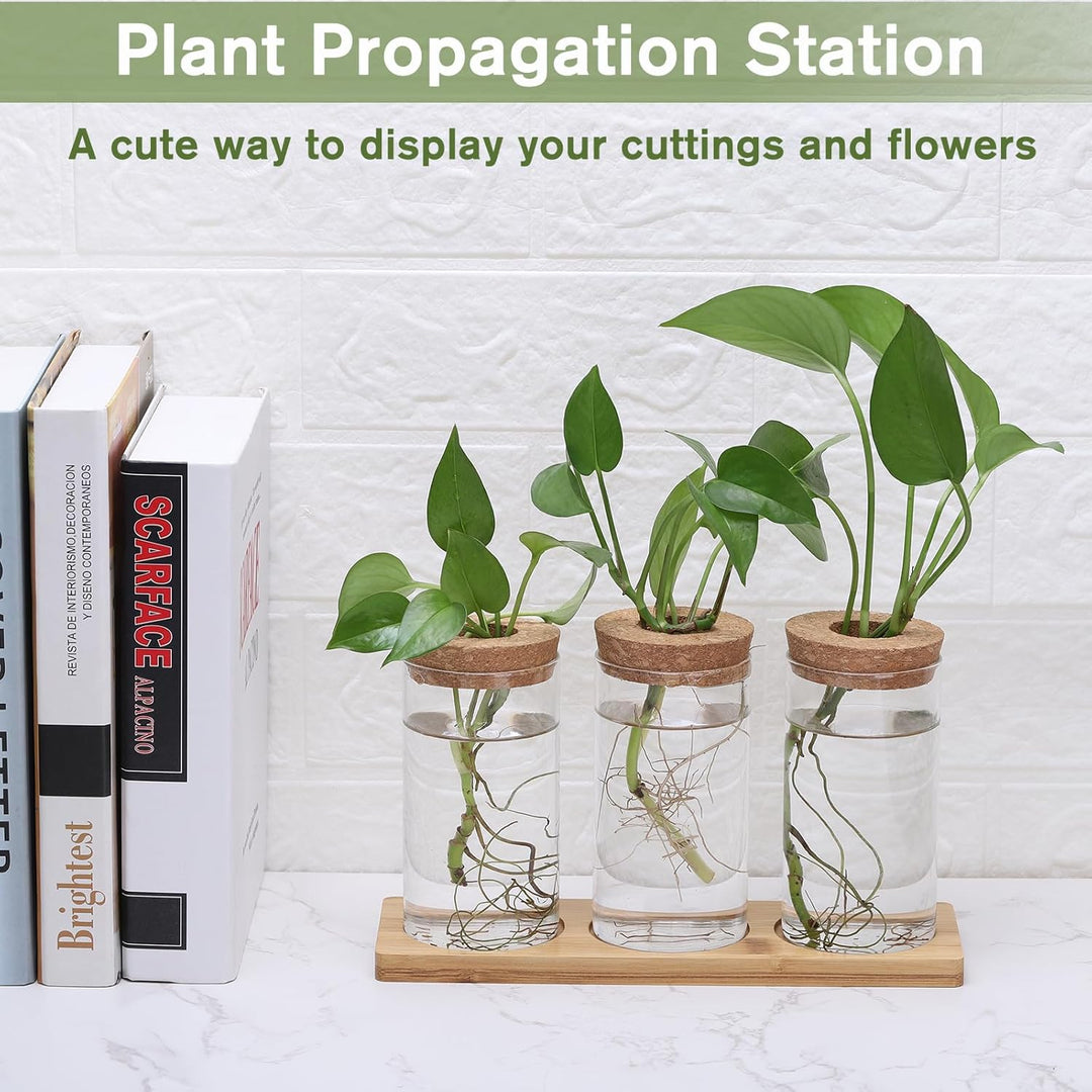 Fentar Ableger Pflanzen Glas, Propagation Station mit Holzsockel und Stecker, 3Stk Kleine Vasen für